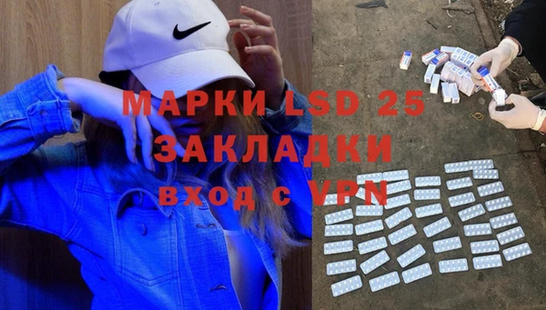 PSILOCYBIN Алзамай