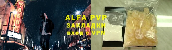 PSILOCYBIN Алзамай
