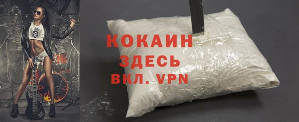 соль ск Алексин