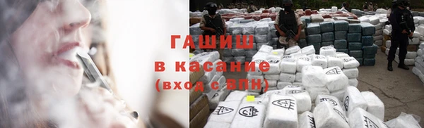 гашик Алексеевка