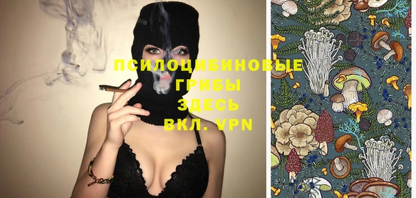 PSILOCYBIN Алзамай