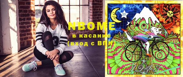гашик Алексеевка