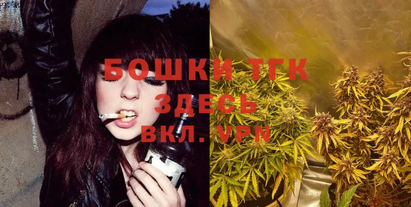 PSILOCYBIN Алзамай