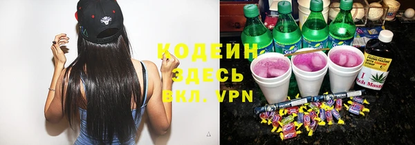 PSILOCYBIN Алзамай