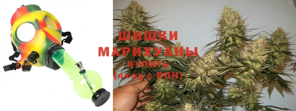 PSILOCYBIN Алзамай